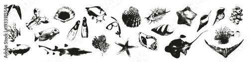 Ocean halftone photocopy elements set. Sea fish and seashell with grunge punk gritty texture for y2k retro collage and street wear print. Stipple effect vector illustration isolated