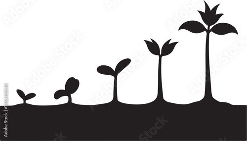 Growth stages of plants from seedling to maturity shown