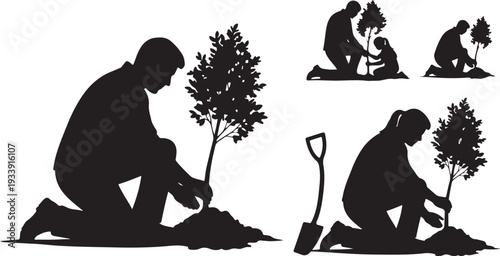 People planting trees in a collaborative gardening project together