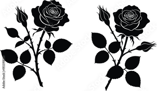 Black rose silhouette vector illustration, detailed blooming roses with buds and leaves, elegant floral botanical clipart isolated on white background