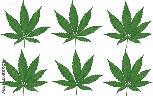 Set of Six Green Cannabis Marijuana Leaves Vector Illustrations Isolated on White Background for Medical Herbal and Alternative Medicine Design