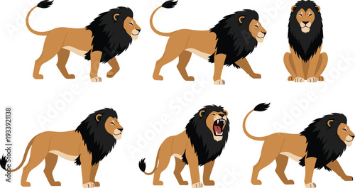 Black Maned Male Lion Character Sheet Featuring Various Poses Including Walking Roaring and Sitting Isolated on White Background Vector Illustration