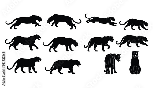 Collection of female lion silhouettes in various poses