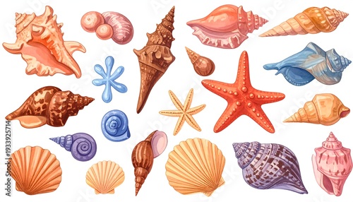 Assortment of colorful seashells and starfish in various shapes and sizes, arranged against a plain background