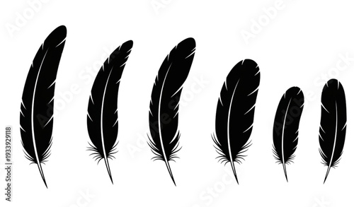 Bird feather silhouette icon set black vector illustration isolated on transparent background
