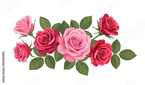 Blooming roses vector illustration with detailed petals and green leaves in floral style