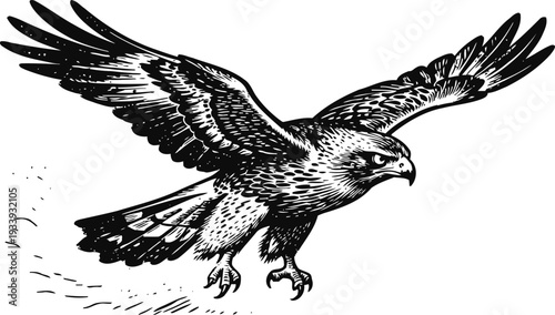 Majestic hawk in flight with outstretched wings and sharp talons hunting in black and white illustration