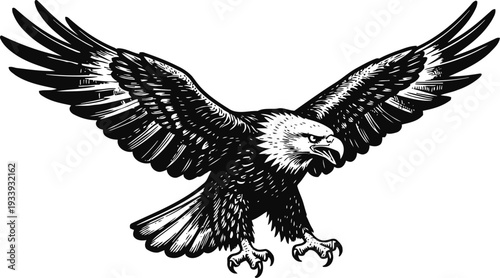 Black and white illustration of a fierce bald eagle with outstretched wings and sharp talons ready to strike
