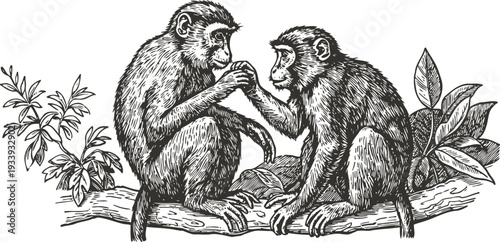 Two monkeys sitting on tree branch interacting close together with detailed foliage