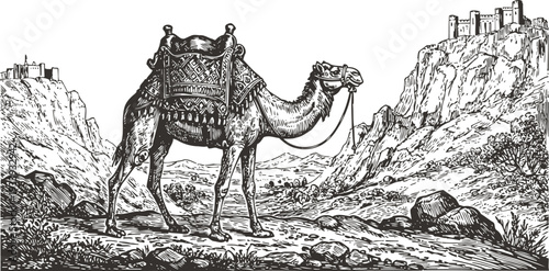 Vintage camel illustration with ornate saddle in desert landscape with rocky mountains and ancient castles