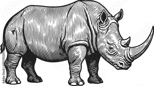 Detailed black and white illustration of a rhinoceros standing, wildlife animal engraving