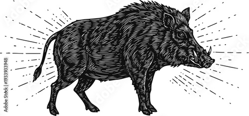 wild boar illustration with detailed line art on white background, vintage animal drawing