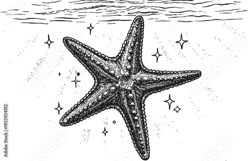 Detailed hand drawn starfish underwater with textured surface and sparkles ocean marine life