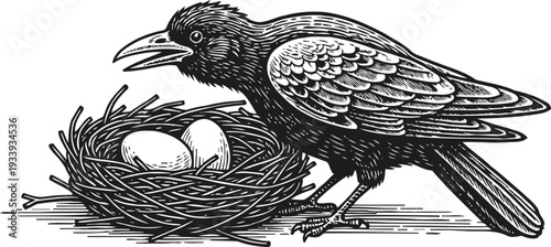 Illustration of a crow standing beside a nest with eggs, detailed black and white bird drawing