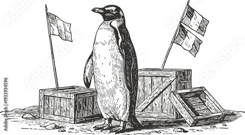 Penguin standing near wooden crates with flags on snowy ground detailed vintage illustration