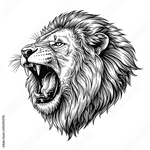 Lion head roaring with sharp fangs and mane, black and white ink drawing illustration. featuring wild animal, predator, big cat with teeth and mouth
