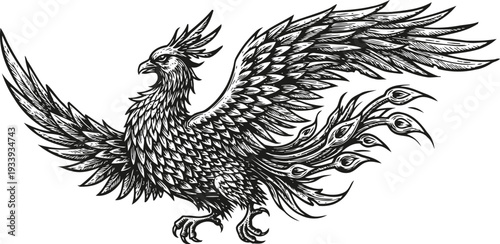 mythical phoenix bird with detailed feathers and fierce expression in black and white art