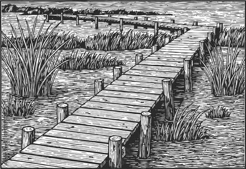 Wooden boardwalk path through marshland with tall reeds and calm water in detailed line art