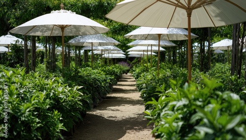 Lush garden path lined with vibrant green plants and shaded by white umbrellas
