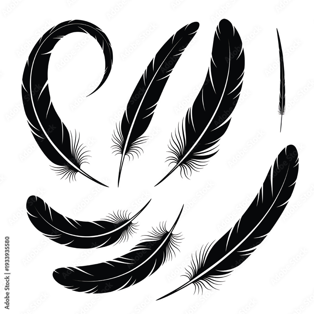 Obraz premium Feathers set with detailed quill and barbs in a black silhouette style featuring feather, plume, down with bird feather and writing feather elements