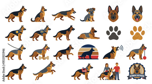 Collection of German Shepherd dog illustrations showcasing various poses, activities, and accessories.