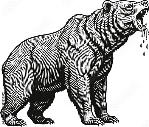 Fierce roaring bear with open mouth and dripping saliva detailed black and white drawing