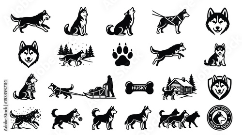 Collection of Siberian Husky dog illustrations in various poses and activities, including sledding, howling, and playing.