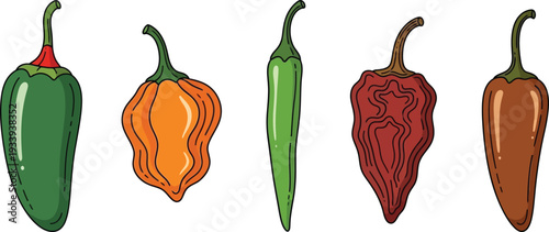 Collection of hot chili peppers, various shapes and colors, spicy food ingredient, jalapeno, habanero, cayenne, dried red pepper