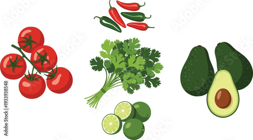 Fresh produce and ingredients featuring vine tomatoes green cilantro bundle avocados halves and whole limes with chili