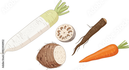 Selection of root vegetables and tubers, daikon radish, lotus root, taro, and carrot