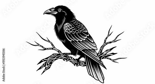 Detailed illustration of a majestic raven perched on a branch.
