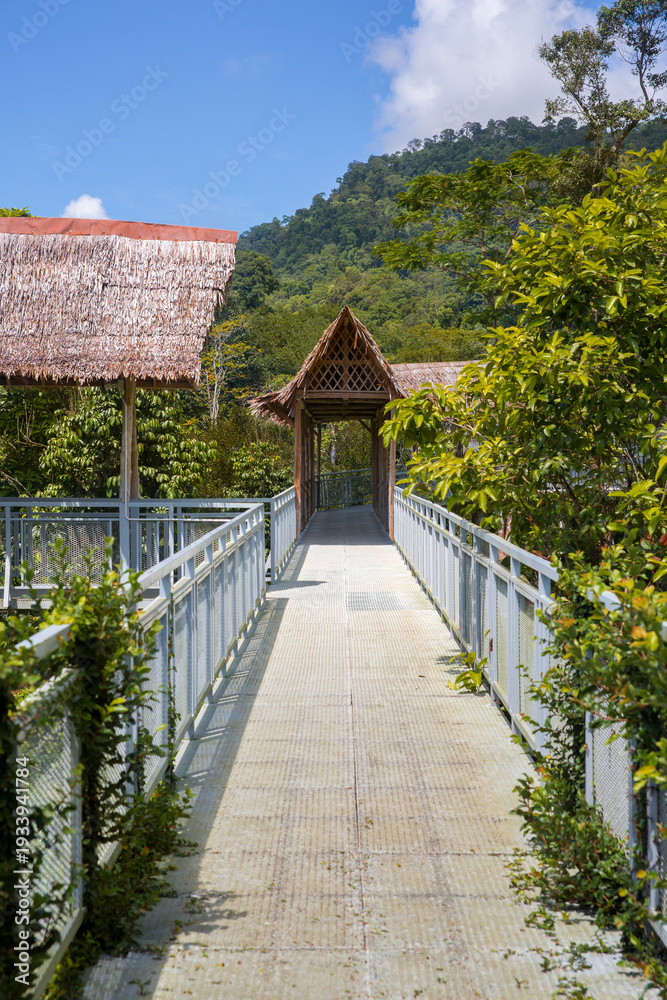 Fototapeta premium An elevated metal walkway in a jungle. The walkway is constructed with light-colored flooring and grey metal railings, featuring a small gabled hut with a thatched roof in the center-middle ground.