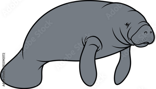 Manatee drawing depicts the gentle sea cow floating calmly in profile view.
