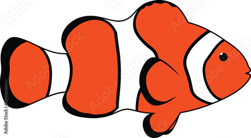 Orange and white clownfish swims sideways showing distinct vertical stripes.