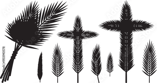 Collection of various palm tree silhouettes on white background