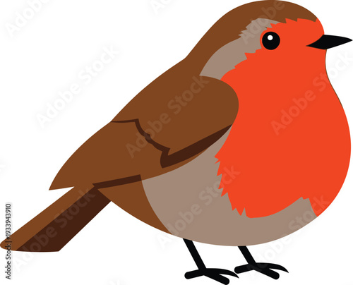 Chubby European robin bird shows off its bright red breast plumage.