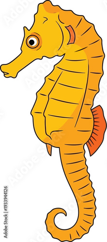 Yellow seahorse illustration displays intricate body segments and curled.
