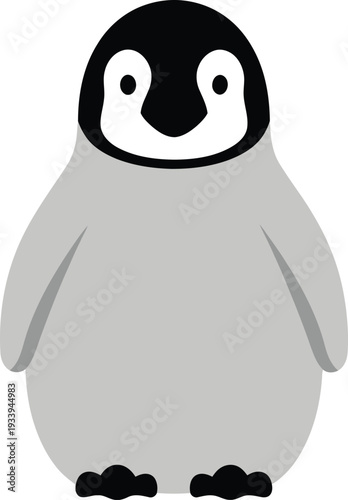 Cute baby penguin chick standing upright with black and white markings.