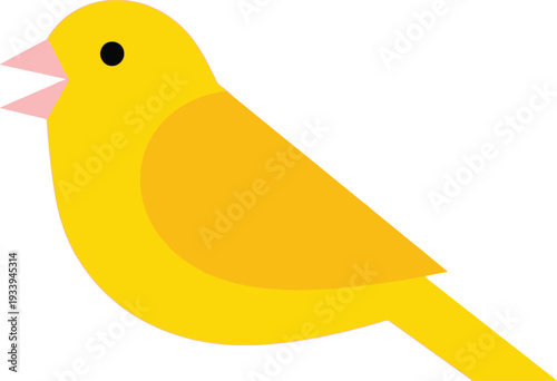 Bright yellow canary bird sings with open beak on white background.
