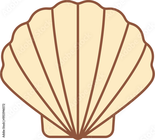 Scallop seashell illustration displays ribbed texture and fan shape on a.