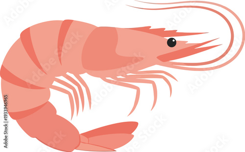 Cooked pink shrimp with curved body and long antennae isolated on white.
