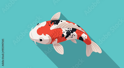 Koi Fish Swimming in Water, Japanese Carp, Colorful Aquatic Animal
