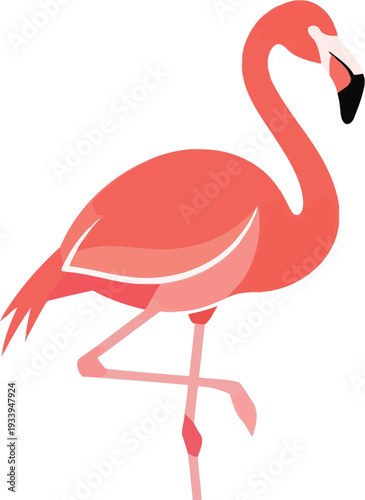 Pink flamingo stands gracefully on one leg in shallow water.