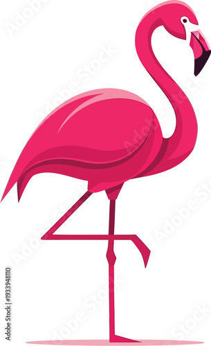 Vibrant pink flamingo balances elegantly on one leg against white.