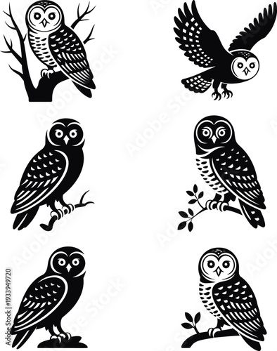 Black and white of owls on branches birds wildlife