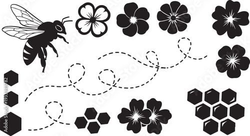 Black and white bee flying around flowers and honeycomb