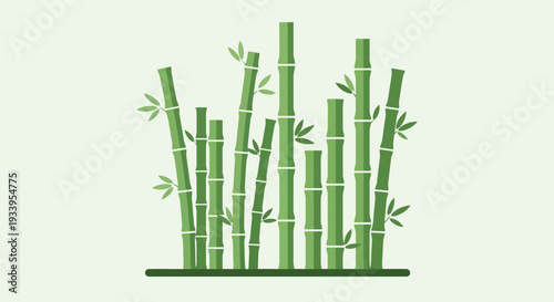 Green Bamboo Stalks Growing in a Cluster