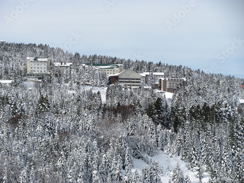 Snowy mountain hillside with pine forest and winter cabins landscape