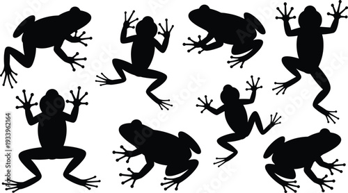 Frog silhouette collection, amphibian poses in black, leaping, crouching, animal outline design, wildlife illustration, nature symbol, reptile style, vector graphic, creative pattern inspiration