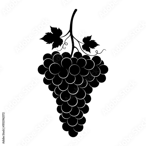 A fresh bunch of purple grapes with a green leaf on a grapevine branch illustrates a ripe autumn harvest from a vineyard, perfect for wine and nature design as a sweet fruit vector